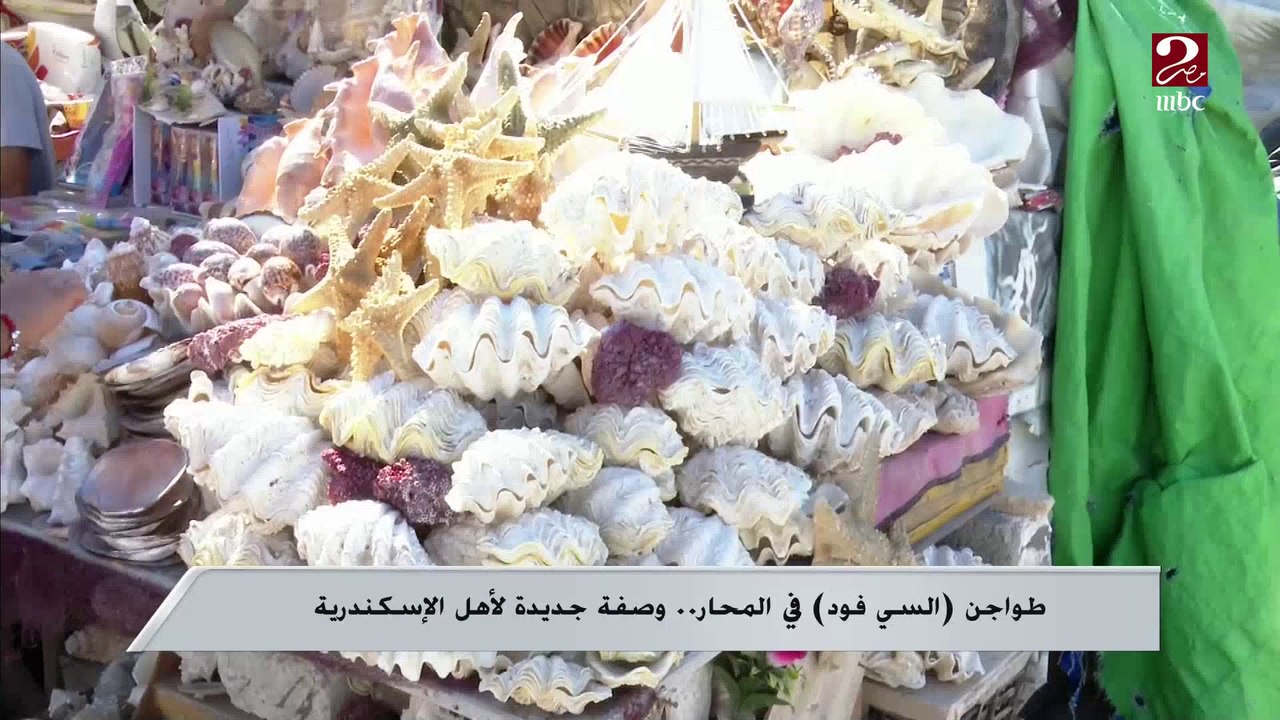 طواجن السي فود في المحار .. وصفة جديدة لأهل الإسكندرية