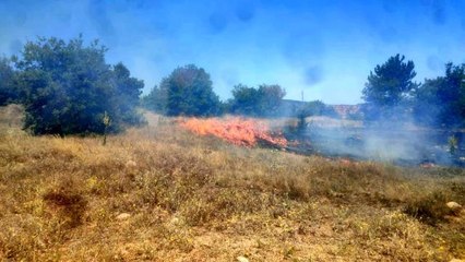 Boş arazide çıkan yangın ekili alana ulaşmadan söndürüldü