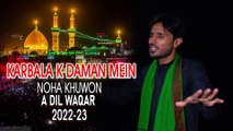 New Letest Nohay | Karbala k Daman Main | Noha Khuwan A Dil Waqar