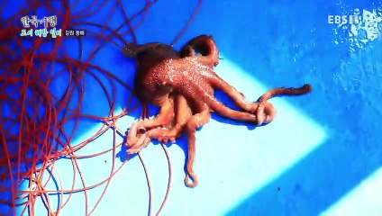 한국기행 - Korea travel_도시 해방 일지 4부- 청춘, 참 어렵다_#002