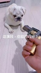 Sometimes my acting skills  are not as good as the doggie