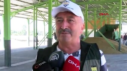 BOLU'DA, TMO'NUN BUĞDAY VE ARPA ALIMINA ÇİFTÇİLERDEN YOĞUN İLGİ