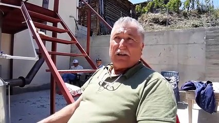 Atıl araziler lavantayla canlandırıldı