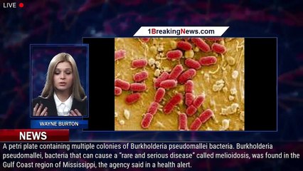 CDC Warns Of Potentially Deadly Bacteria Found In US Soil And Water For First Time - 1breakingnews.c