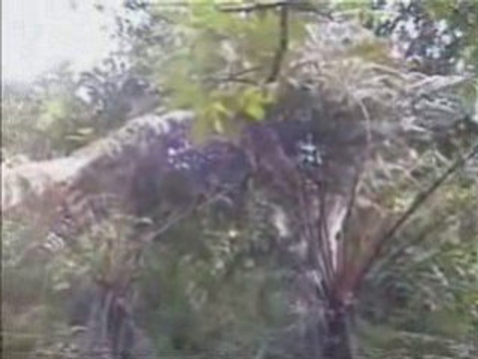 Vinh Phuc_03_Tam Dao