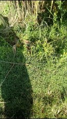 12# FUTURE HOME ( WHERE WE ARE AFTER THIS)