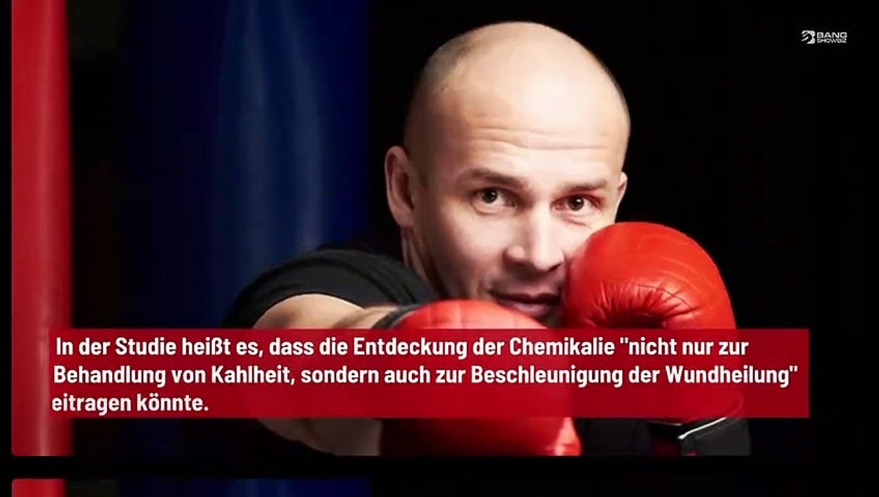 Potenzielles Mittel gegen Kahlheit entdeckt