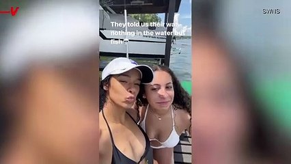 Terrifying Moment as Group of Friends Discover They had been swimming for hours with a 6.5 foot alligator