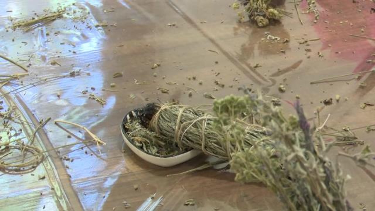 Antalya Büyükşehir'in Çevre Eğitim ve İnovasyon Merkezi'nde Çalışmalar Devam Ediyor