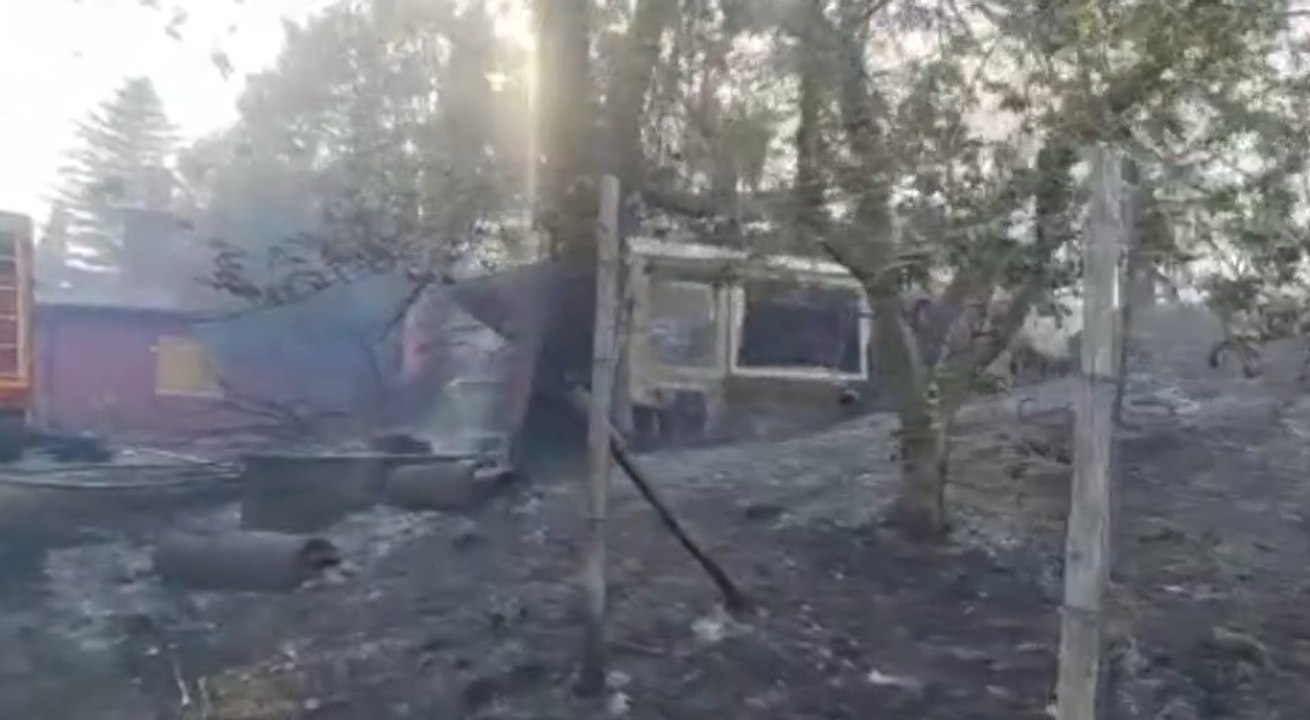 Fiano Romano (RM) - Incendio boschivo a ridosso della A1 (28.07.22)