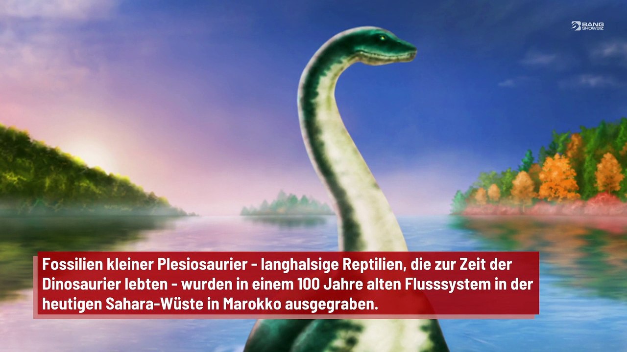 Das Ungeheuer von Loch Ness könnte ein Dinosaurier gewesen sein