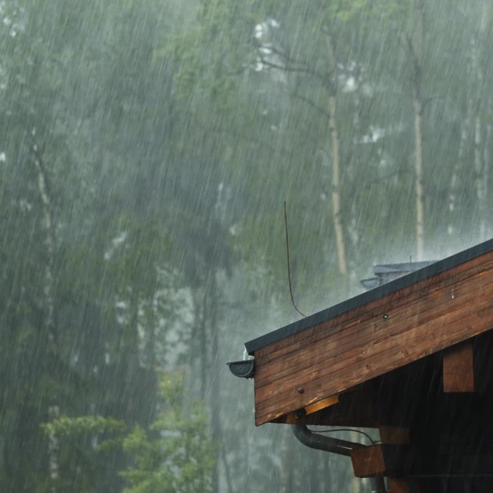 Quelle est l'odeur de la pluie ? - carré
