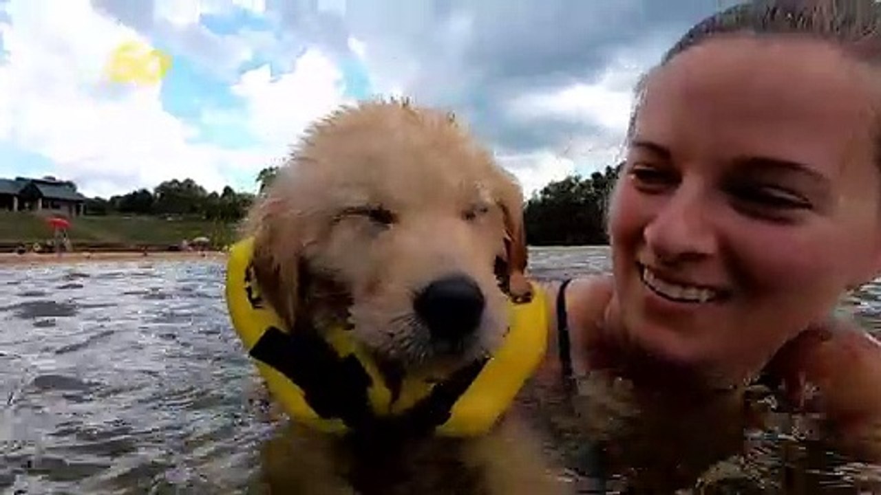 Keep That Tail Wagging and That Dog Afloat!