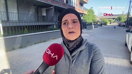 Demet Akalın, yolunu değiştirerek köpeği ezen yabancı uyruklu şahsa küfretti