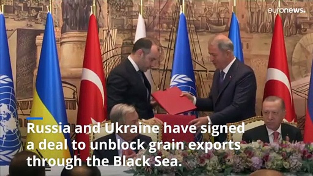 Fact check: Are EU sanctions causing the global food crisis, as Russia claims?