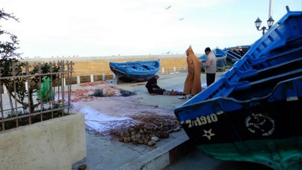 Découverte d'Essaouira : Voyage en camping-car au Maroc 🚐