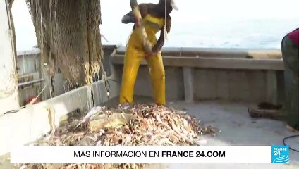 Este jueves 28 de julio de 2022 ha sido declarado el Día de la Sobrecapacidad de la Tierra