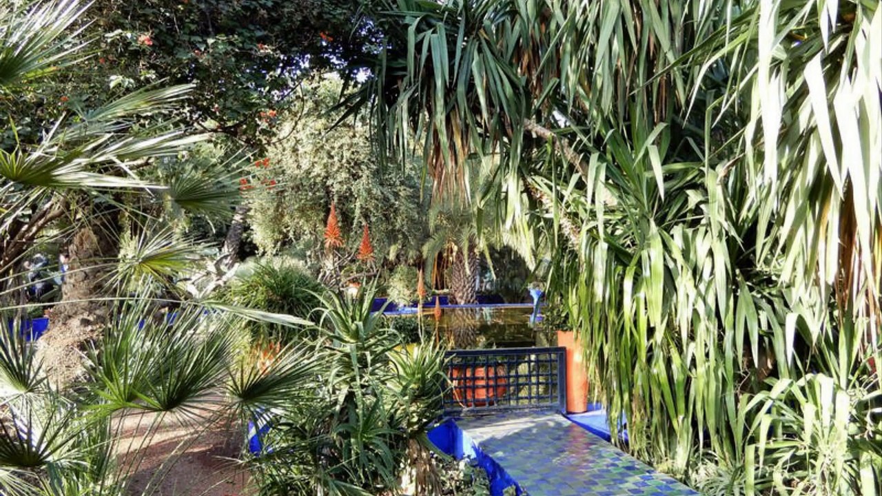 Maroc (Marrakech, jardins Majorelle)