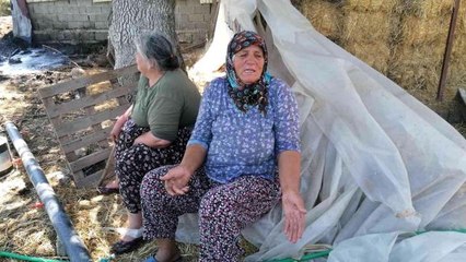 Manavgat yangının yıldönümünde yine yangınla mücadele etti