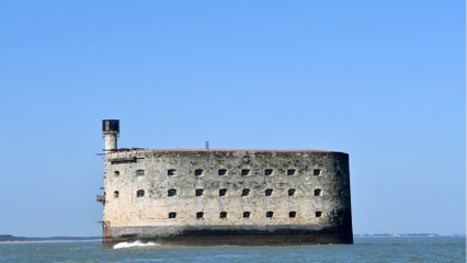 GALA VIDEO - Fort Boyard : au fait, qui teste les épreuves ?