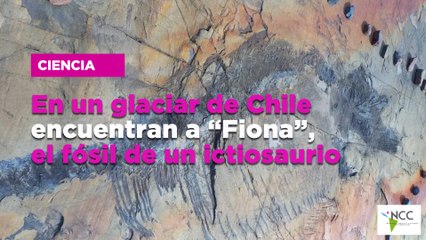 En un glaciar de Chile encuentran a “Fiona”, el fósil de un ictiosaurio