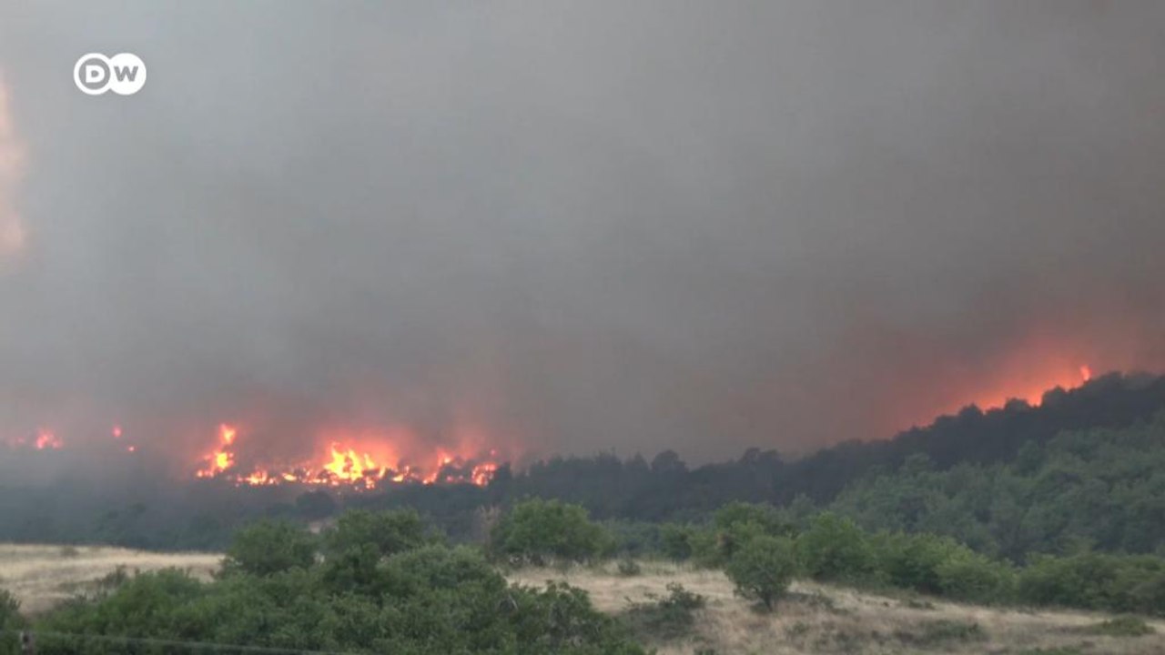 Waldbrände in Griechenland: Kein Brandschutz ohne die Lokalbevölkerung