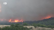 Waldbrände in Griechenland: Kein Brandschutz ohne die Lokalbevölkerung