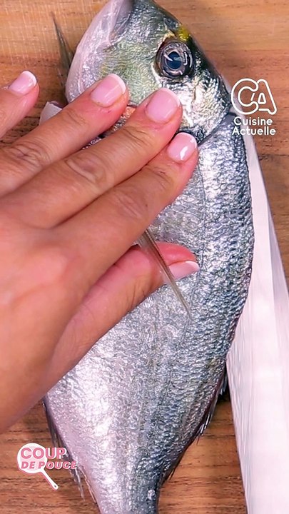 CUISINE ACTUELLE - Coup de pouce : Comment préparer une dorade