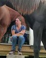At çiftliginde çalışan kadının, babasını kaybettikten sonra yaşadığı duygulu anı görüp ona şefkatle sarılan bir at