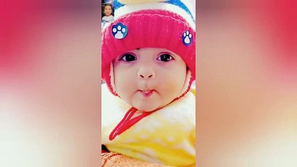 কিউট বেবি ভিডিও ২০২১ কিউরেটর ডিব্বা cute baby bangla new tik tok 2021bangla new