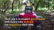 Environment patrol: These agile robots are keeping an eye on Italy’s forests