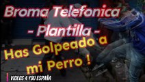 Audio para hacer una Broma Telefonica - Ha Golpeado a mi Perro