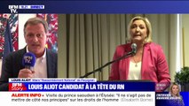 Louis Aliot, candidat à la présidence du RN: 