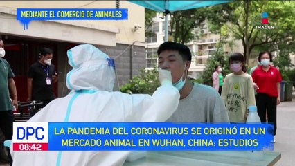 Covid se originó de forma natural en mercado de Wuhan, China: estudios