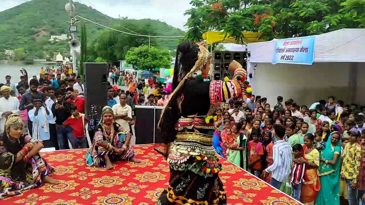 Video....हरियाली अमावस्या पर पाल हुई गुलजार, शुरू हुआ परंपरागत दो दिवसीय मेला