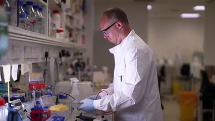 British Heart Foundation awards £30m to CureHeart