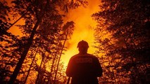 Çekya’daki orman yangınında bin hektarlık alan kül oldu