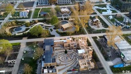 The activist preserving trees in India