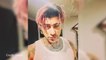 Zayn Malik Shows Off Pink Hair Makeover In Rare Selfie