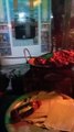 Street Food At Dhaka City | Najmul Mama's Hot Chop | Bangladeshi Street Food