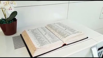 Cachorrinha avisa sobre arrombamento de casa no Bairro Cataratas