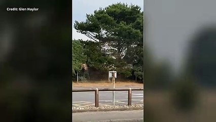 Firefighters have dealt with around a hectare of sand dune grass alight at Greatstone