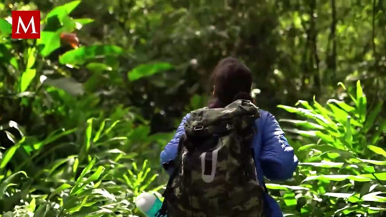 Encuentran bacterias de una rara enfermedad en muestras de tierra y agua en Misisipi, EU