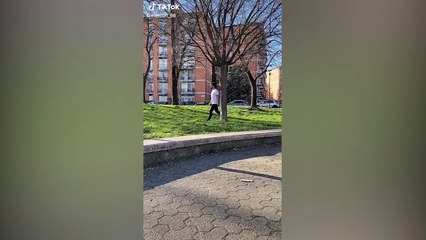 Best of Mercuri 88 TikTok Compilation   Funny Manuel Mercuri Tik Toks 2022 (4)