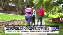 Dueña de perros asegura que ellos no mataron a hombre en Valle de Ángeles