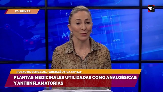 Plantas medicinales utilizadas como analgésicas y antiinflamatorias