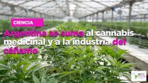 Argentina se suma al cannabis medicinal y a la industria del cáñamo