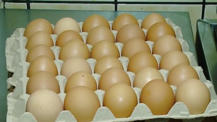 C7-aumento-precio-huevo-28722