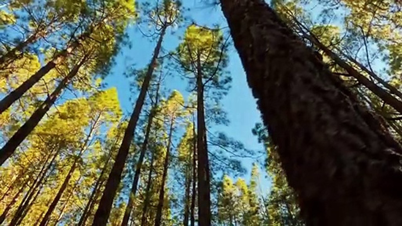 Kina - Can We Kiss Forever