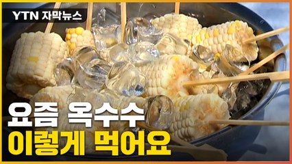 [자막뉴스] 이게 옥수수야, 아이스크림이야? / YTN
